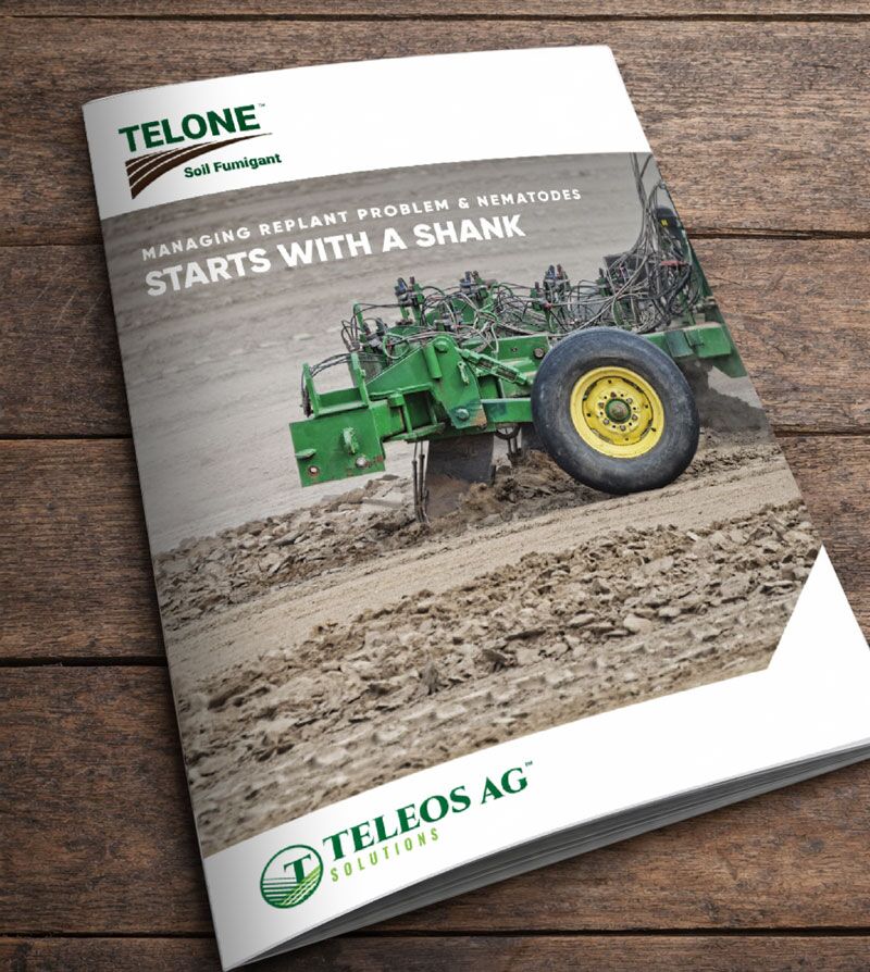 Tree and Vine Brochure